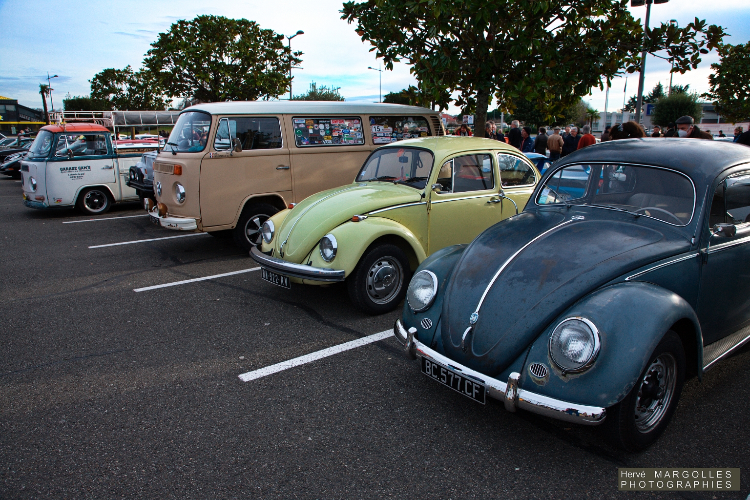 VW Cox-Combi.jpg